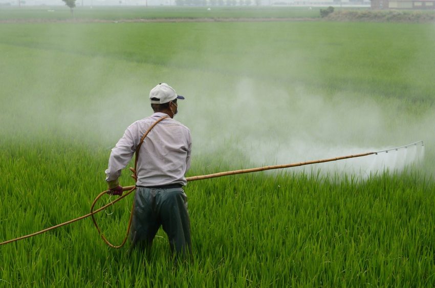 government- decides to stop production of pesticides in the country